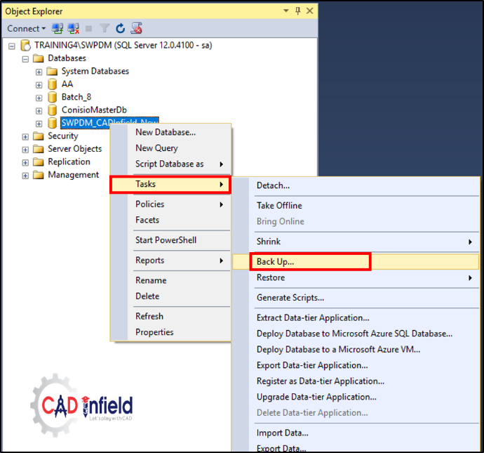 Solidworks PDM Backup